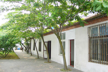 企業(yè)實力